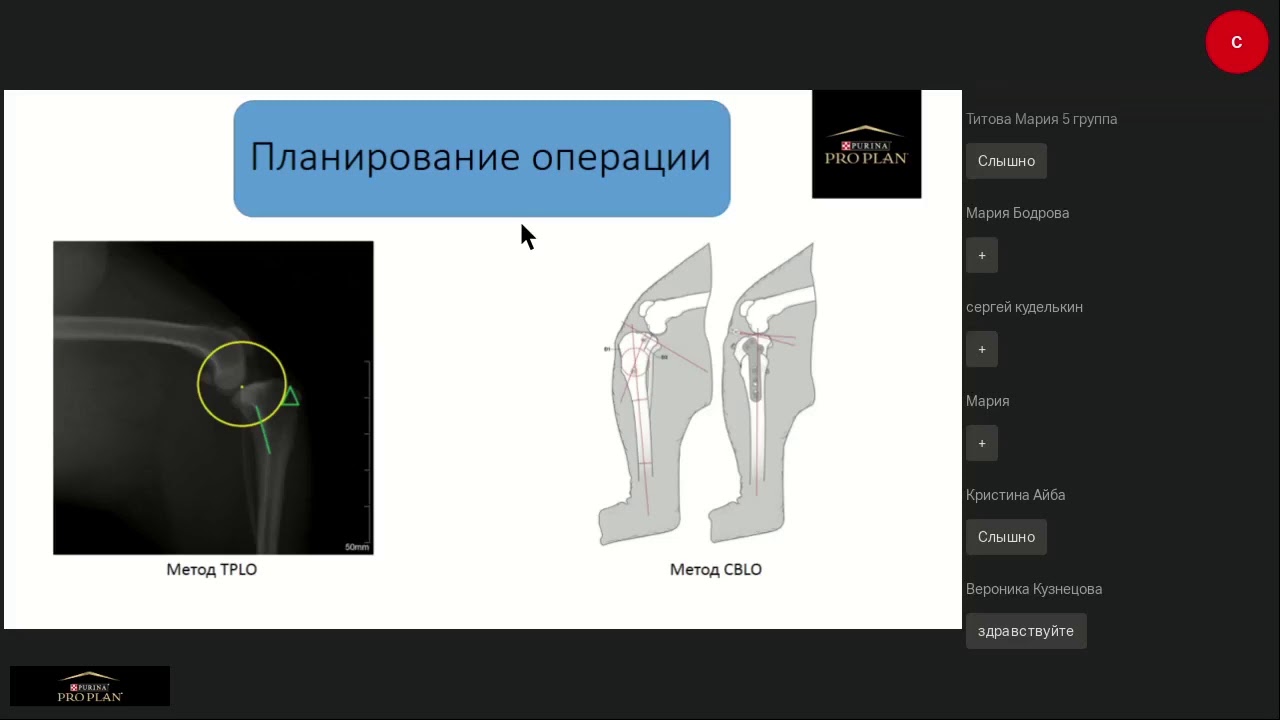 Сравнение методов TPLO и CBLO при хирургическом лечение разрыва передней крестообразной связки