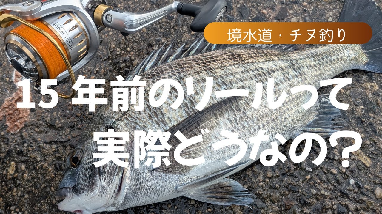 2026.初チヌに出会うことは出来るのか？新年１発目の境水道編