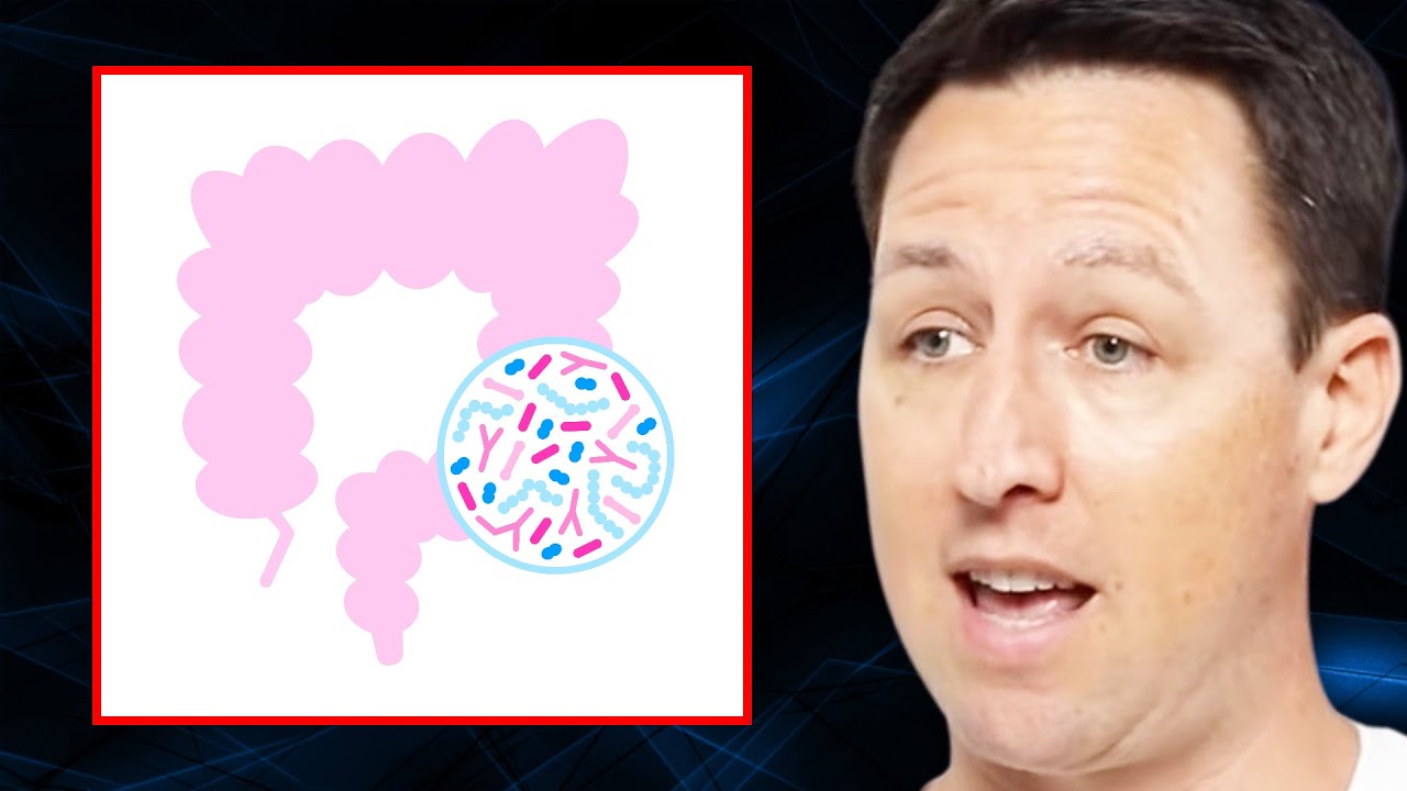 Probiotics Aren’t Essential for Gut Health but Small Amounts of THESE Are... | Dr. Will Bulsiewicz