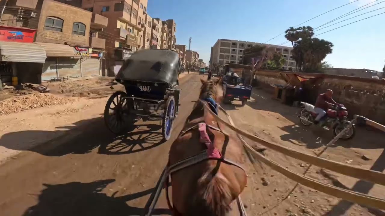 Horse-Drawn Carriage ride in Edfu, Egypt