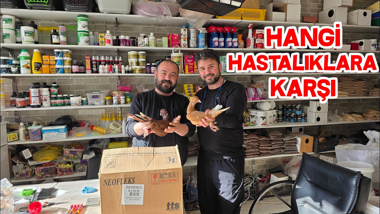 Güvercinimiz Çınarı Aşı Vurdurmaya Götürdüm