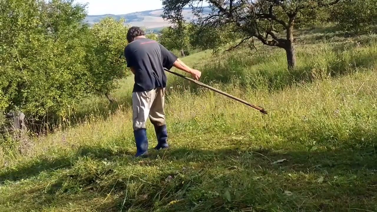 Fűkasza èlezès# fűkasza generáciokra tervezve🌾🌱🌿☘️🍀🤔