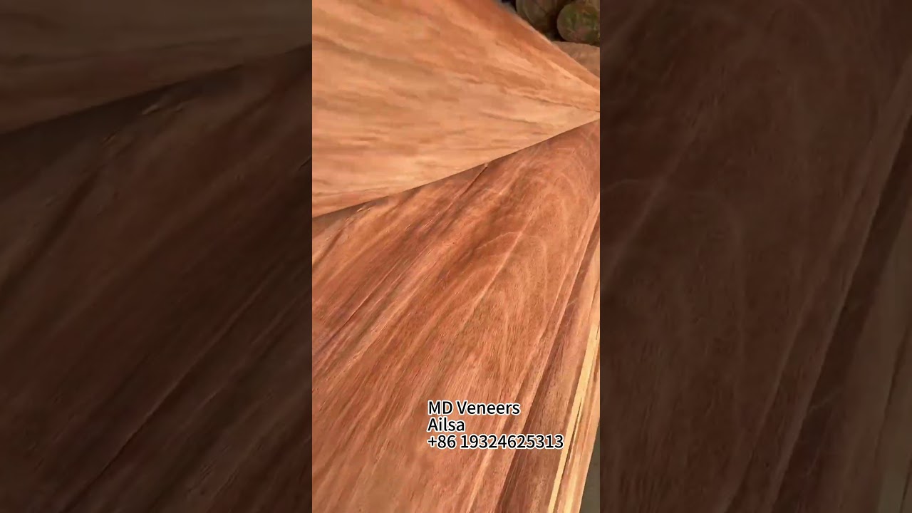 Gurjan wood from Laos is made into face veneer in a Thai factory and will be sold around the world.