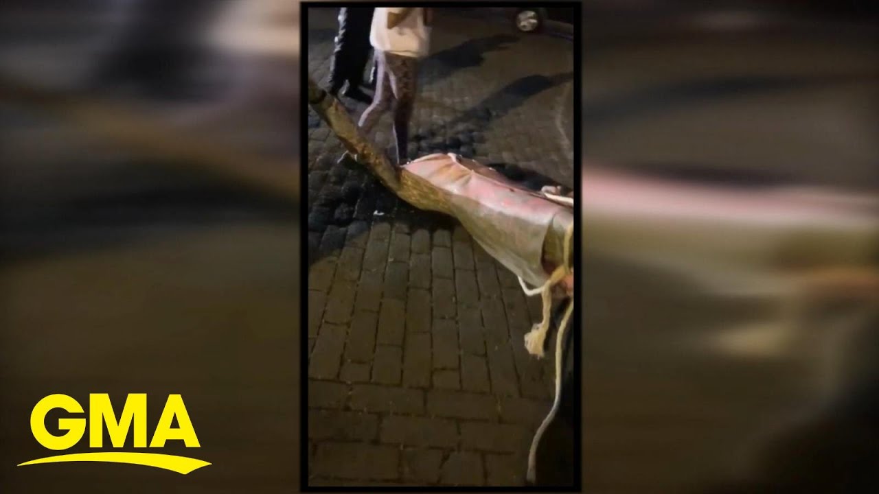 Protesters tear down Confederate statues in US cities l GMA