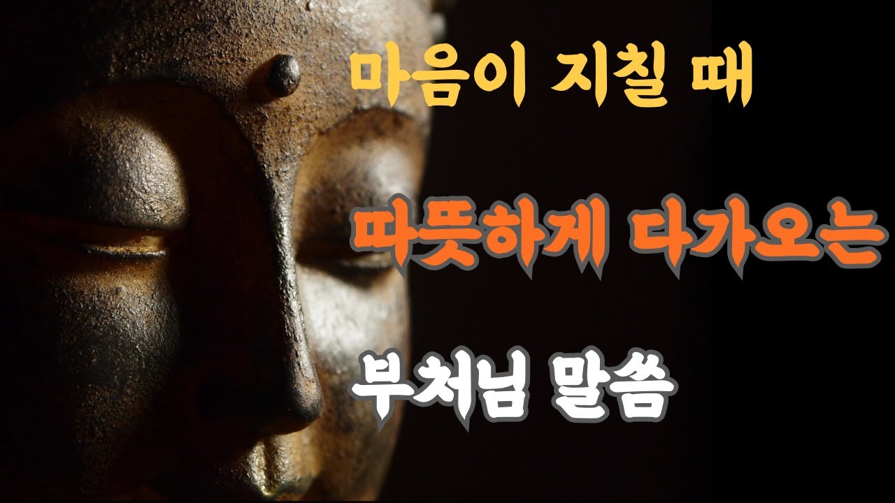 지친 마음에 전하는 부처님의 말씀｜마음의 쉼과 삶의 감사｜불교 명상 오디오북