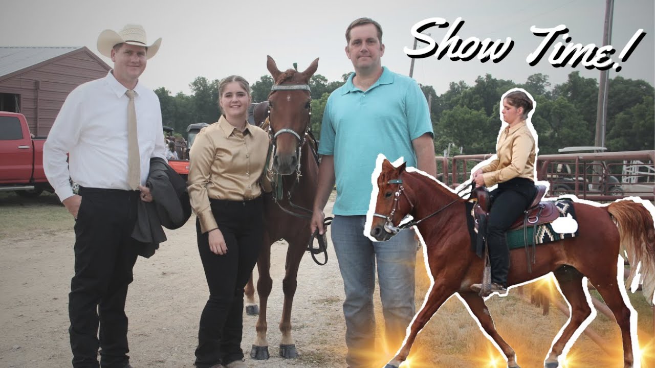 First Show For Our Client Horse! AMAZING!