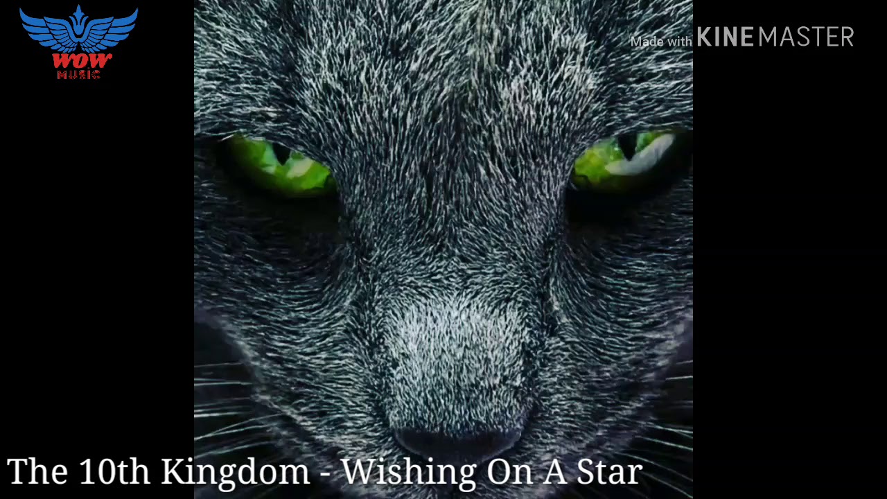 The 10th Kingdom -Wishing On A Star