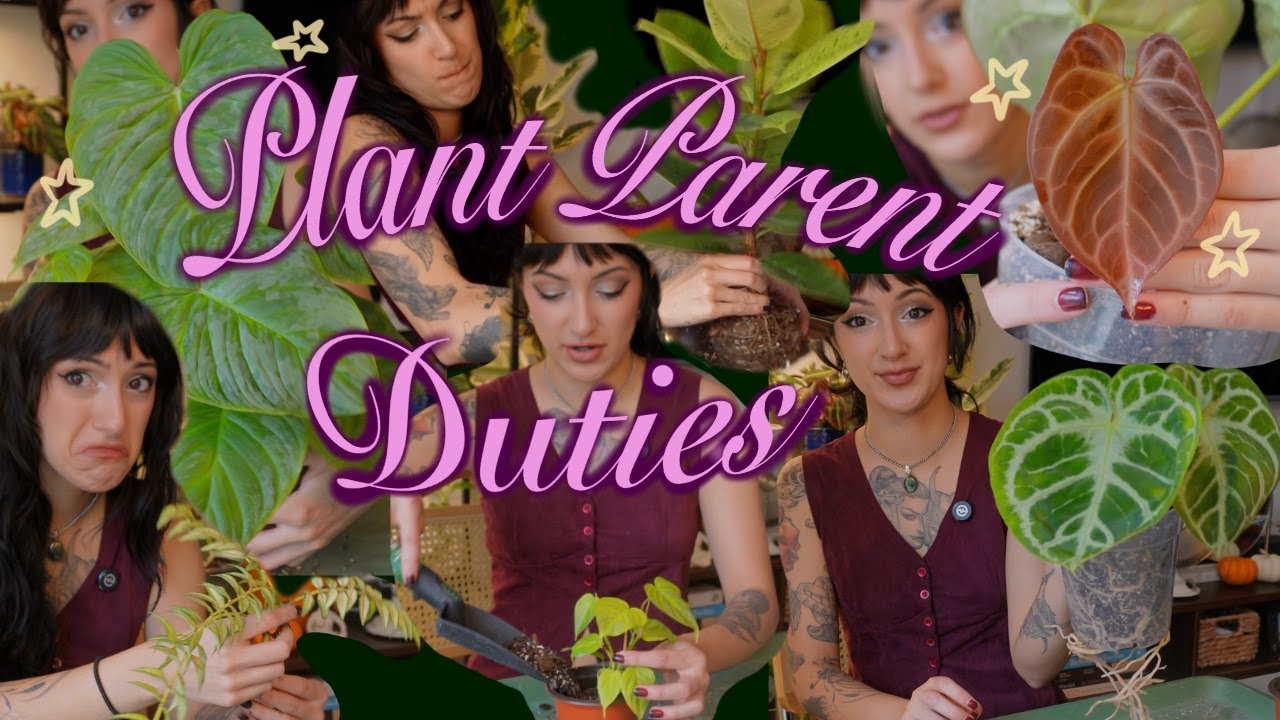 It's Not Hoarding If They're Plants 🌱 | Chatty Chaotic Plant Chores 🪴:✧˚