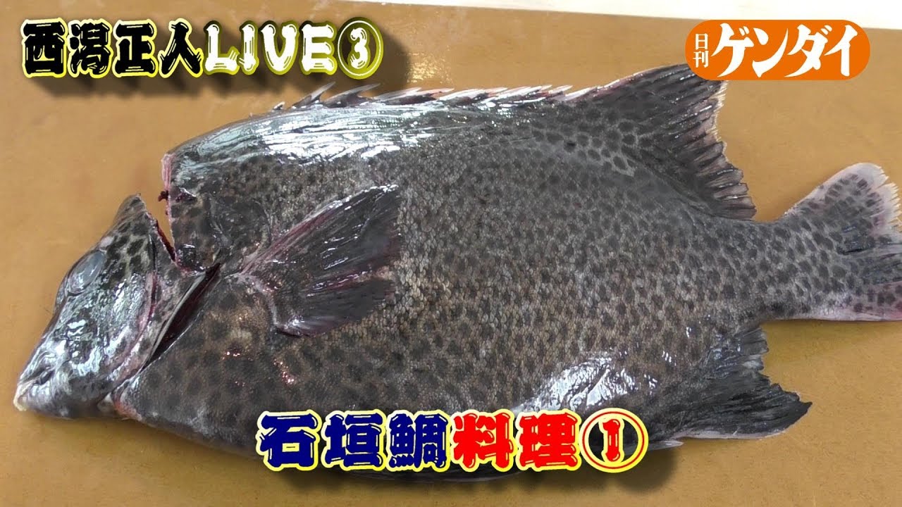 プロの魚料理【西潟正人】イシガキダイ刺し身も皮のヌタも美味！《上》 How to fillet a spotted knife jaw,sashimi,nuta,Japanese