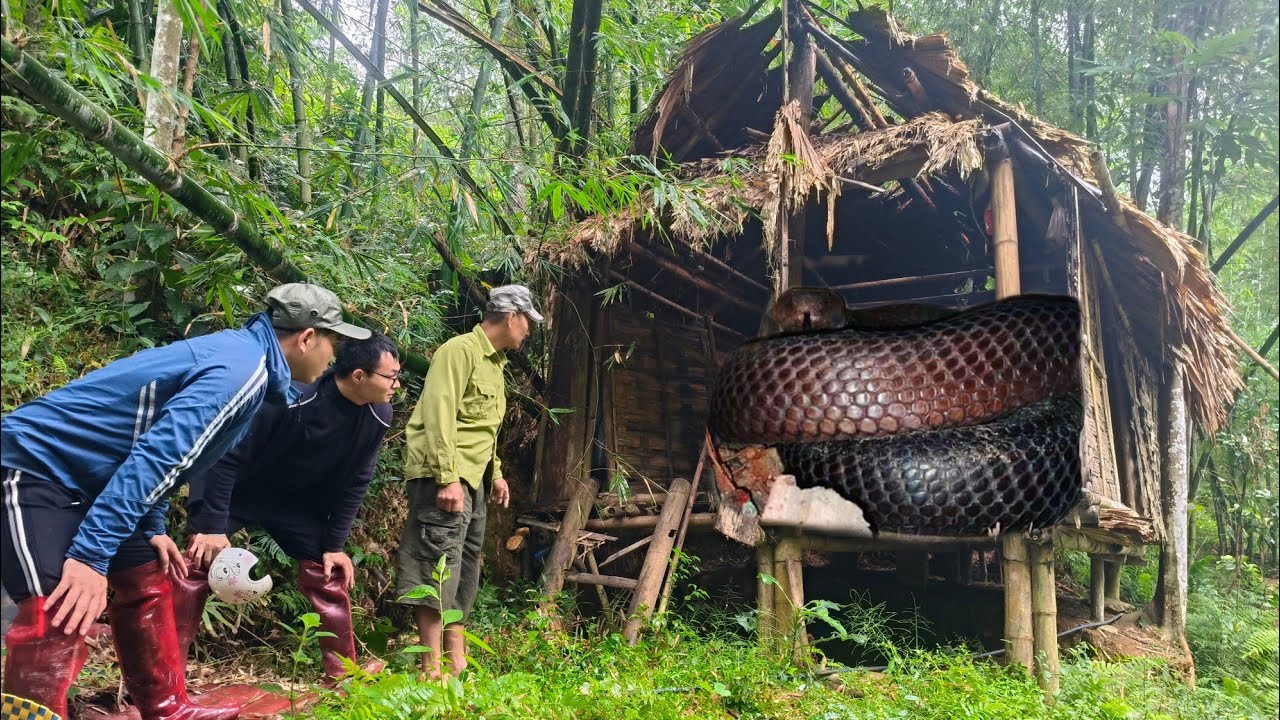 The old man living in the mysterious abandoned house and the giant cobra