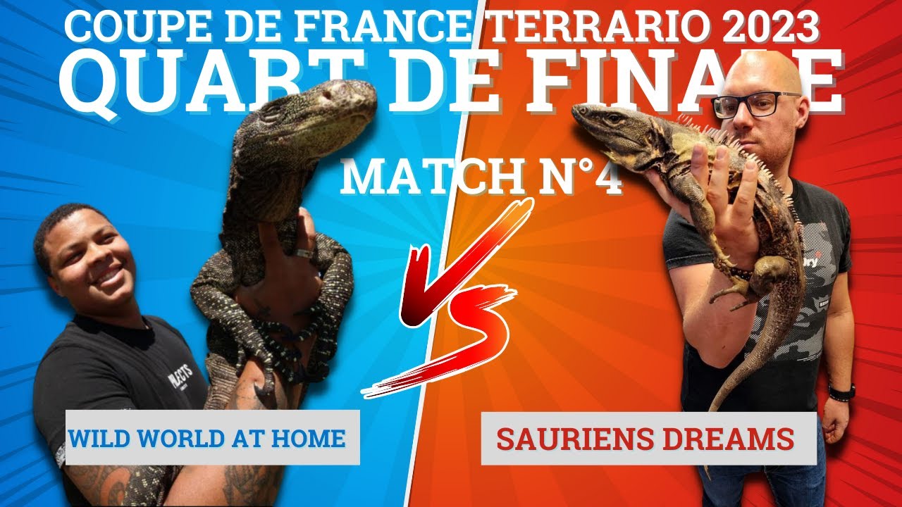 🇫🇷 QUART DE FINALE N°4 WILD WORLD AT HOME V.S SAURIENS DREAMS La COUPE DE FRANCE TERRARIO 🇫🇷