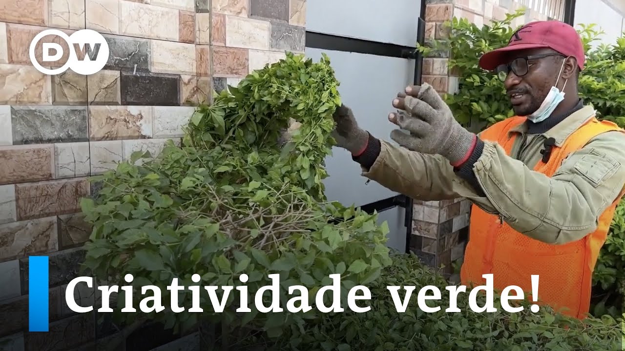 Angola: Jardineiro transforma espa&ccedil;os verdes de Malanje