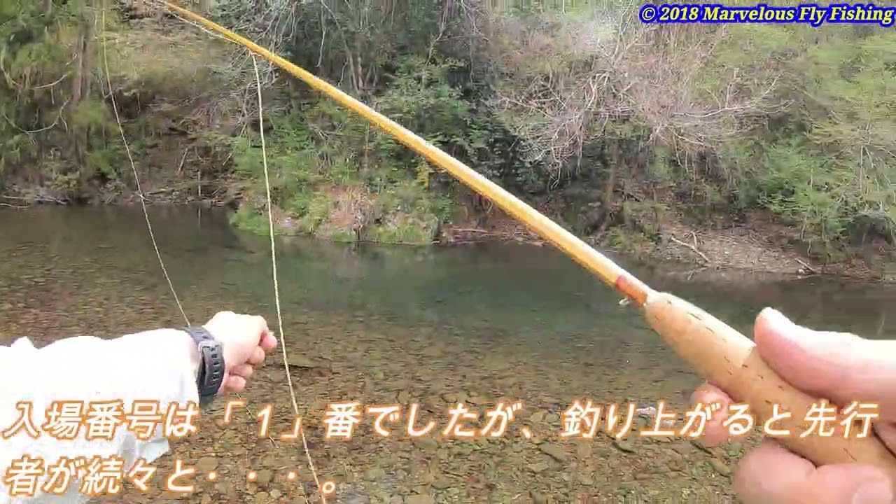 2025年4月18日　養沢毛鉤専用釣場釣行 ＃043
