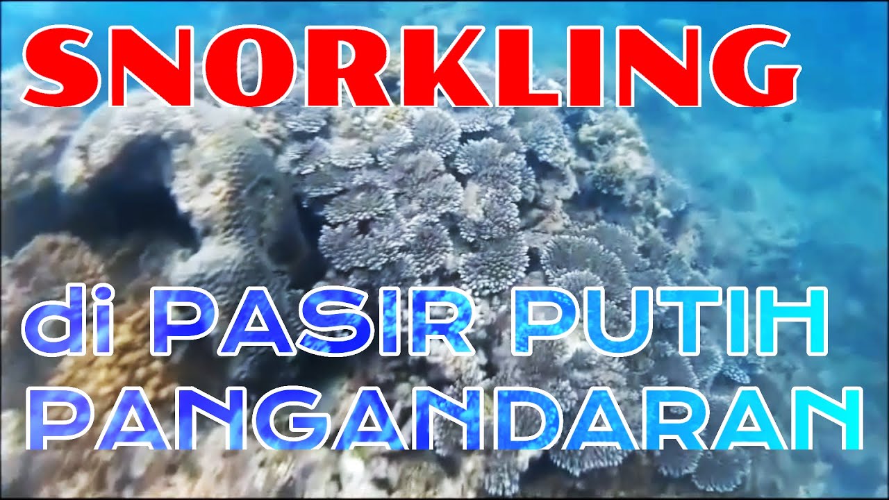 Snorkling di Pasir Putih Pangandaran