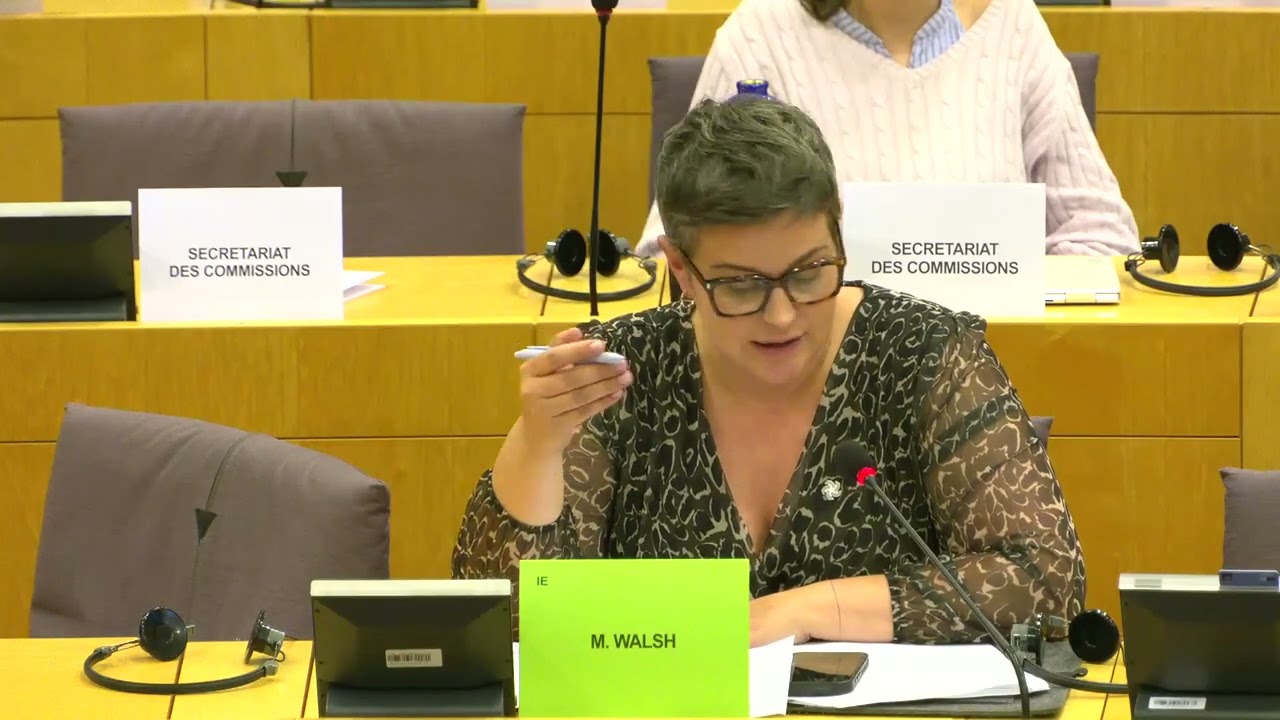 Speaking in the Committee on Civil Liberties on the Equal Treatment Directive