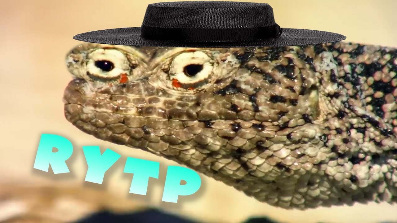 Природный пуп | RYTP