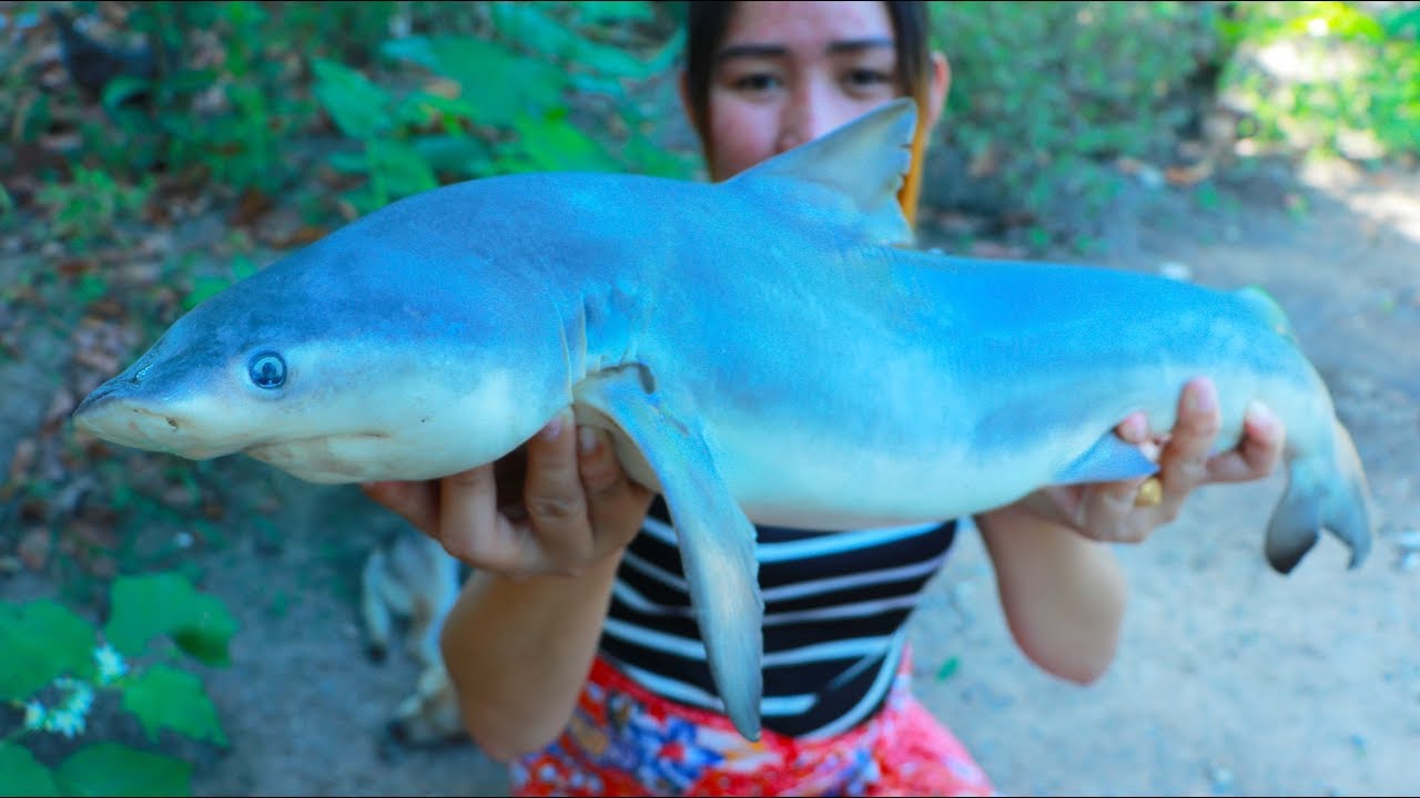 Yummy Shark Soup Cooking - Shark Recipe - Cooking With Sros