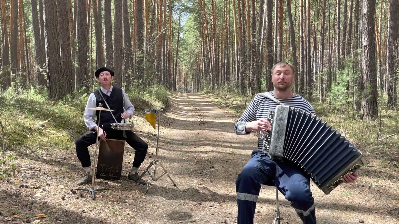 ♫ ♫ Это просто шедевр ! ! ! Мой ласковый и нежный зверь (Евгений Дога - Семён Жоров - Борис Еремеев)