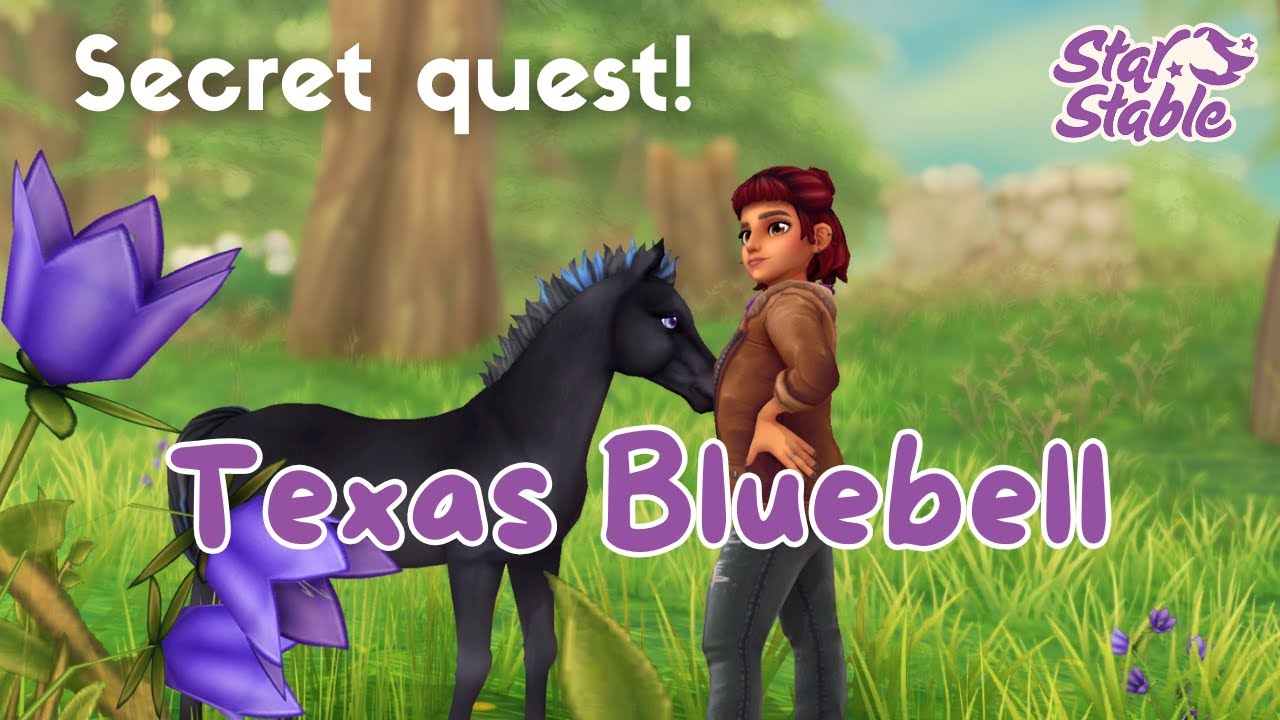 SECRET QUEST: Texas Bluebell  || SSO Gameplay