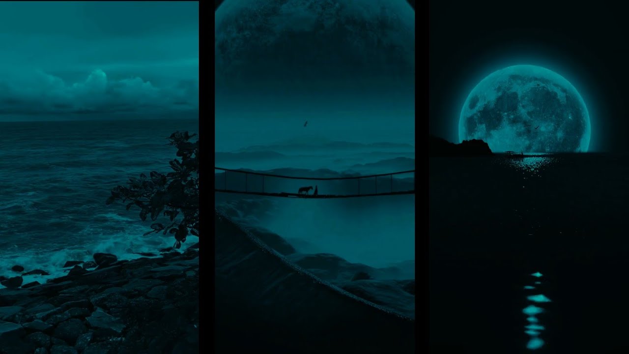 Dark Aesthetic Videos & Song 🌑 | Nature | Darkestics