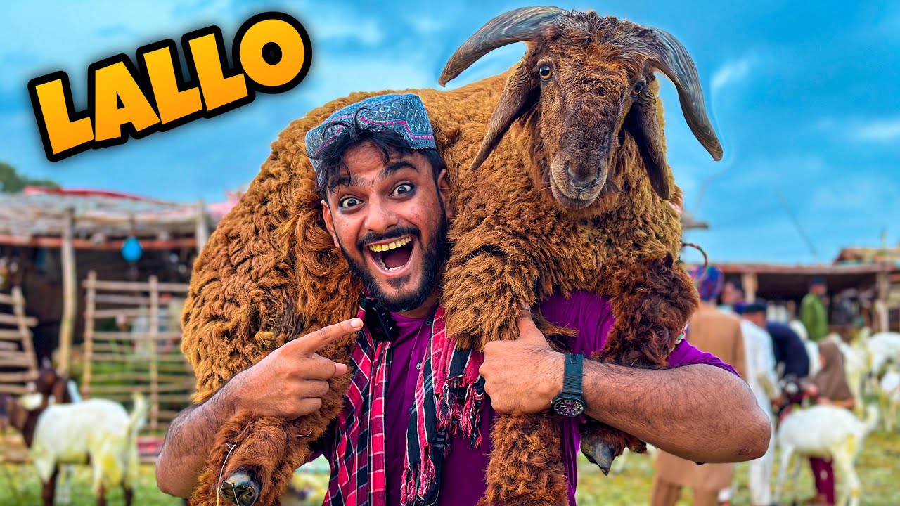 ALHAMDULILLAH QURBANI KE LIE 25 HAZAR KA EK OR DUMBA LE LIA 😍 | Mandi Vlog| Bakra Eid 🥰