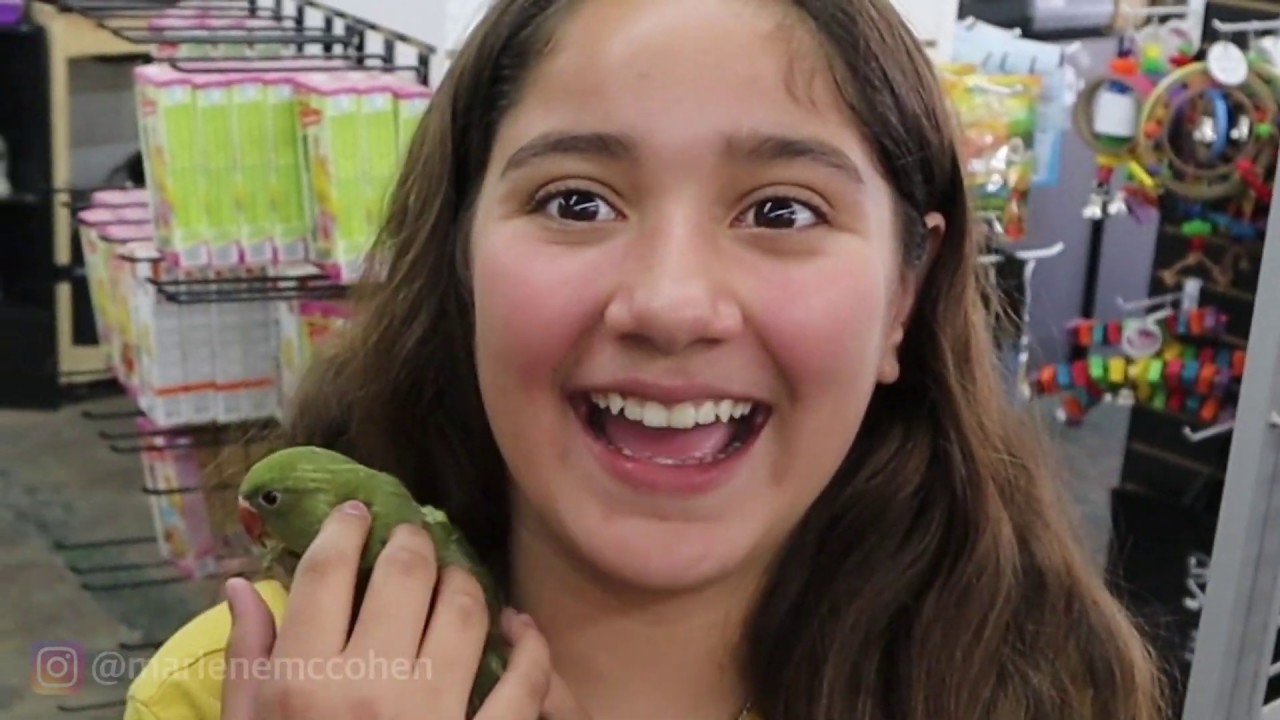 MEET MY BABY MUSTACHE PARAKEET | MARLENE MC'COHEN