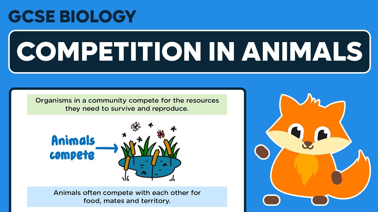 Competition in Animals - GCSE Biology