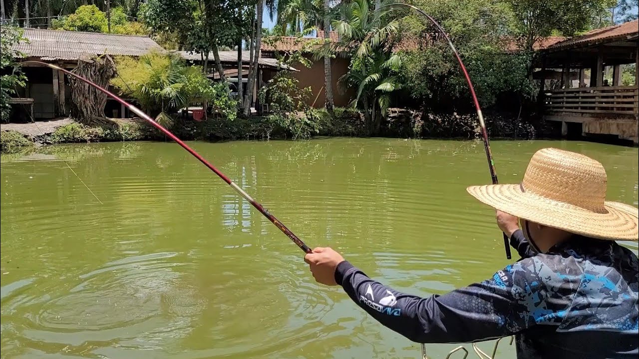 TILAPADA FIZERAM FILA PRA COMER A ISCA...Pescaria