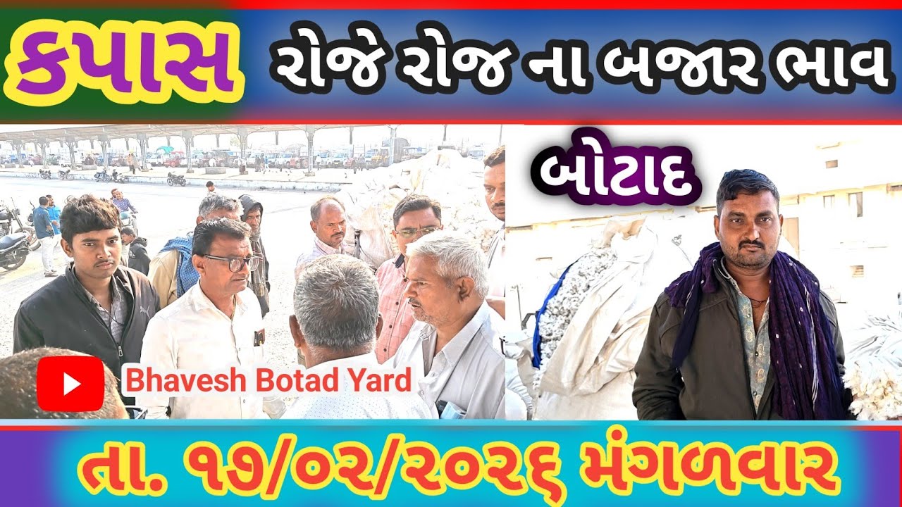 બોટાદ માર્કેટિંગ યાર્ડ માં આજે તો કપાસ ના ભાવ 😱17/02/2026||Botad Marketing Yard || #bhaveshbotadyard