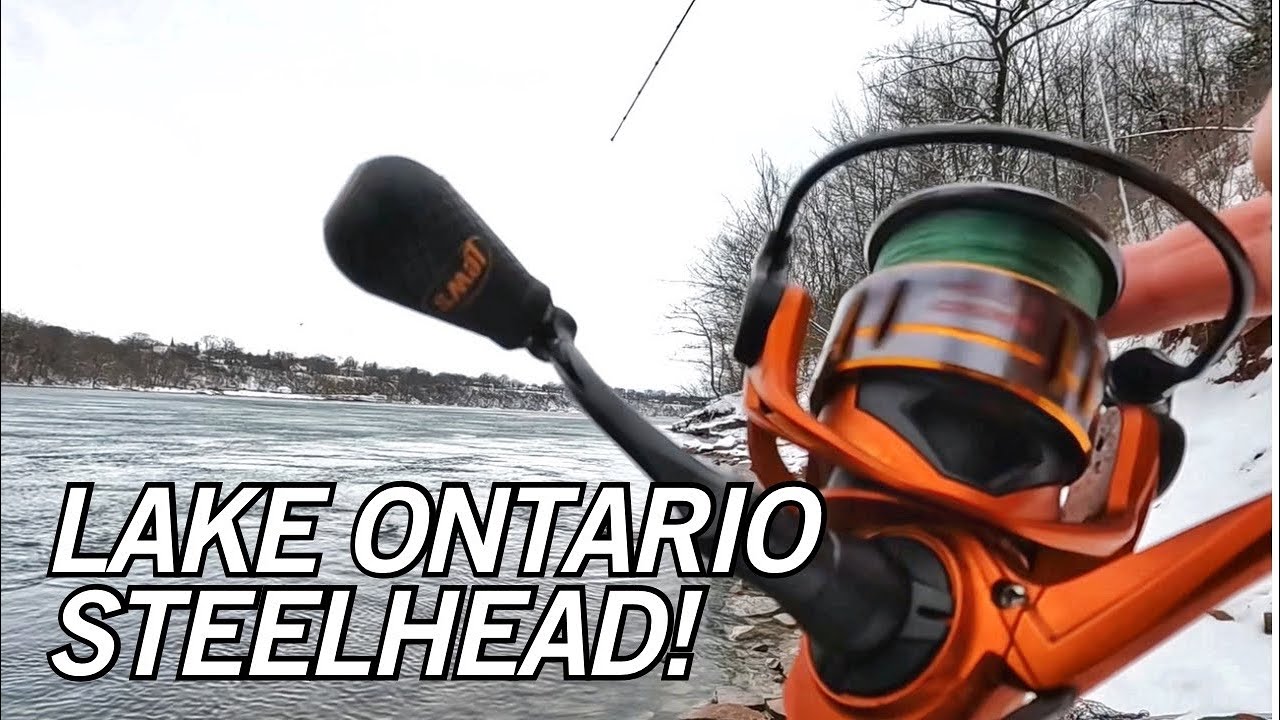NIAGARA RIVER Giants! Big steelhead  and a surprise in the net!