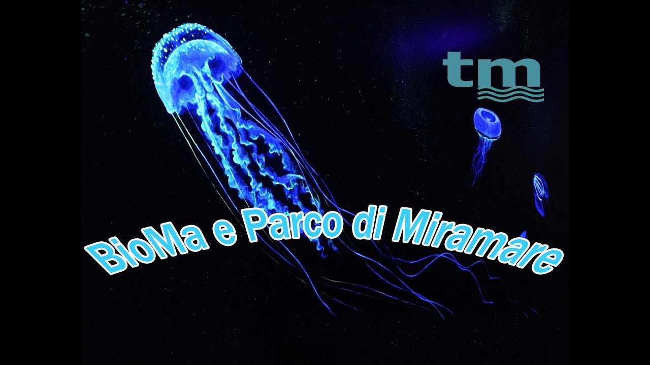 BioMa e Parco di Miramare