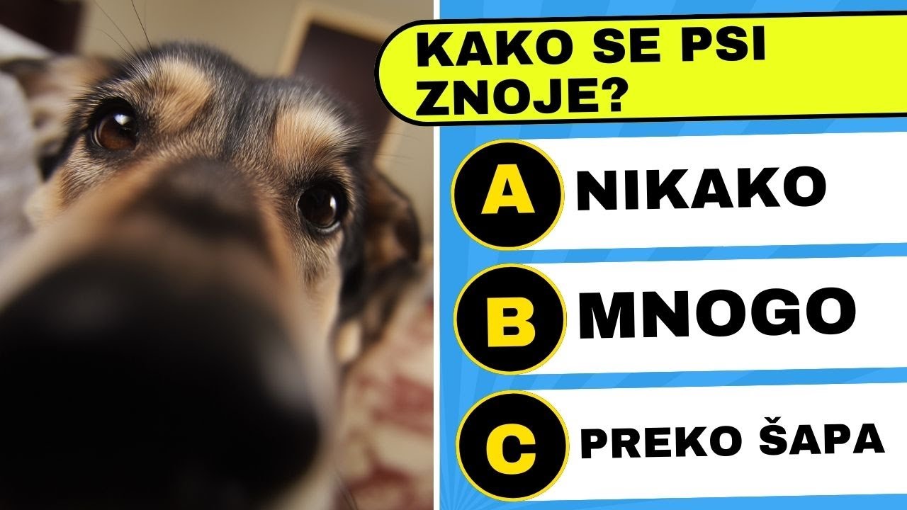 Ako znaš 40/50, tvoj IQ je PREKO 130! 🧠 Ultimativni Test Opšte Kulture