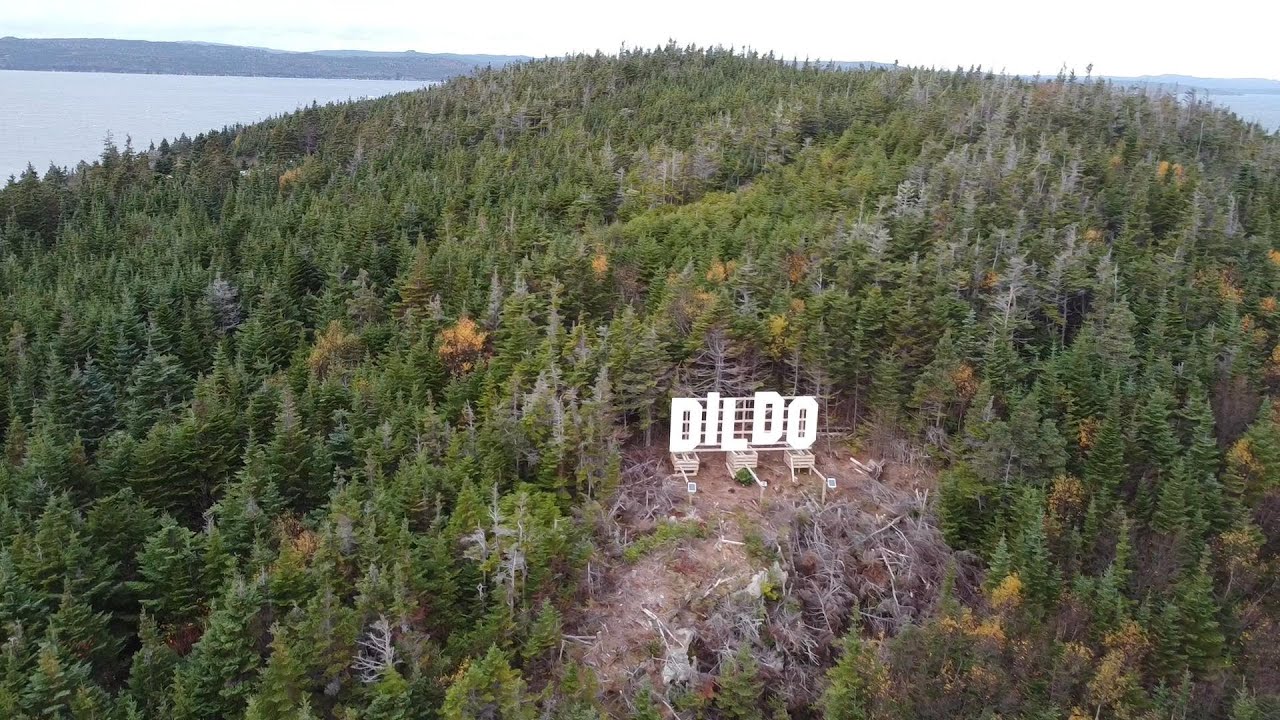 Trip to Dildo Newfoundland (2020)