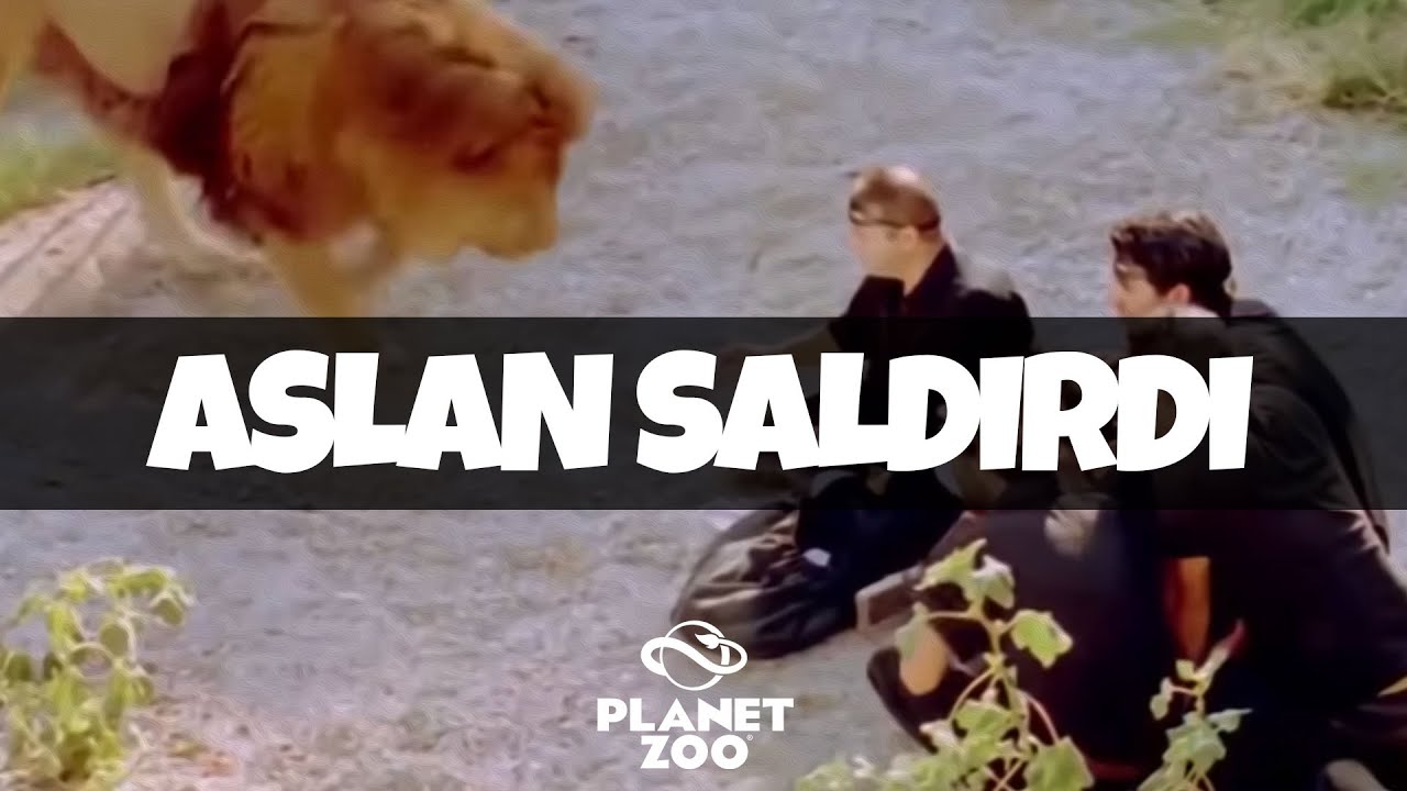 ASLAN SALDIRDI! - PLANET ZOO