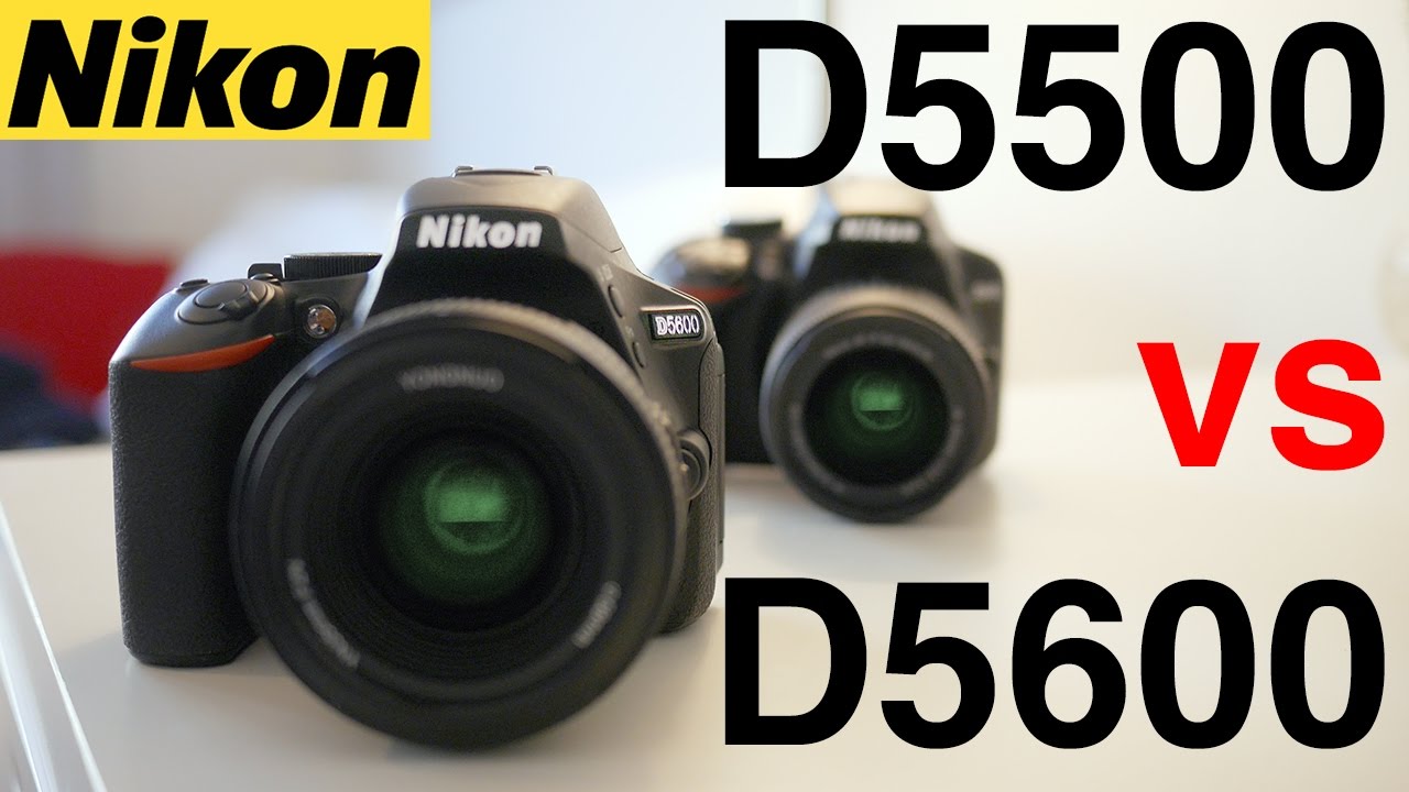 Nikon D5500 против Nikon D5600 — какая цифровая зеркальная фотокамера Nikon лучше всего подходит ...