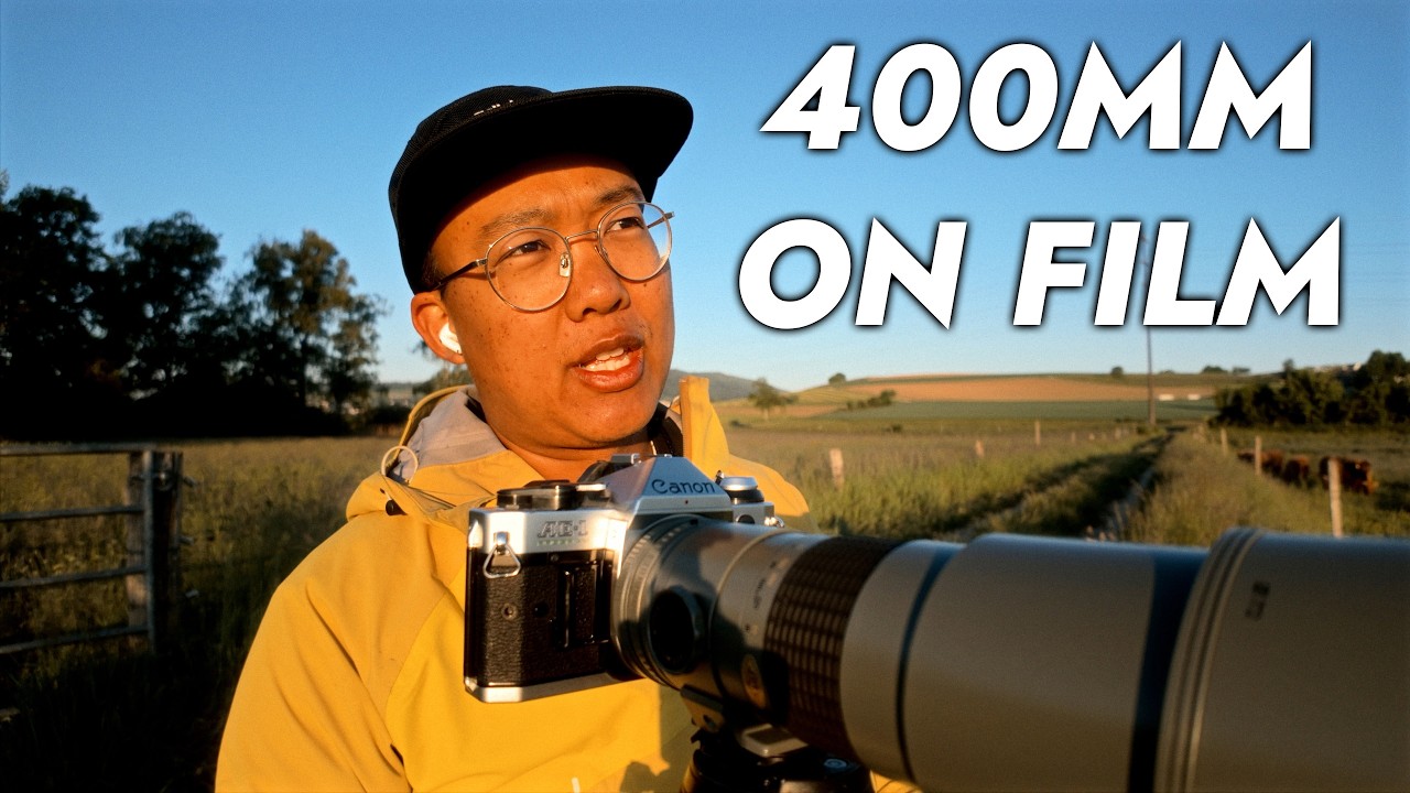 I Tried Bird Photography with a 400mm Film Lens… It Was Brutal