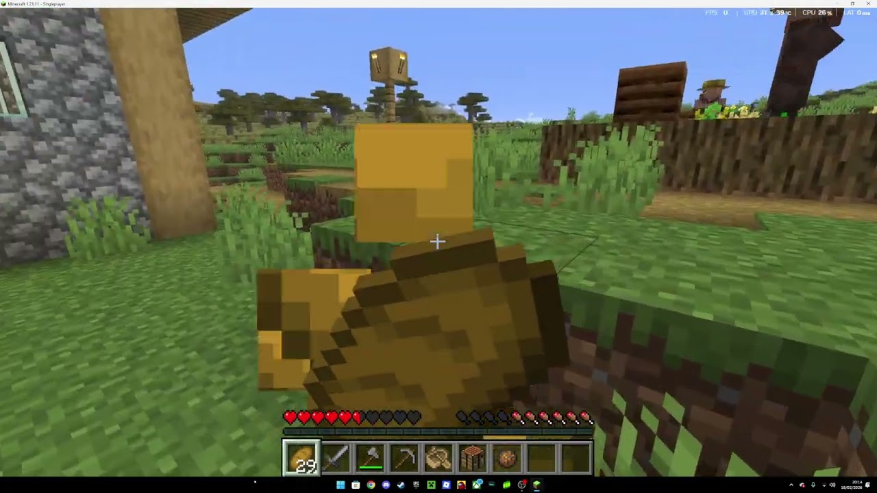 My new Minecraft world