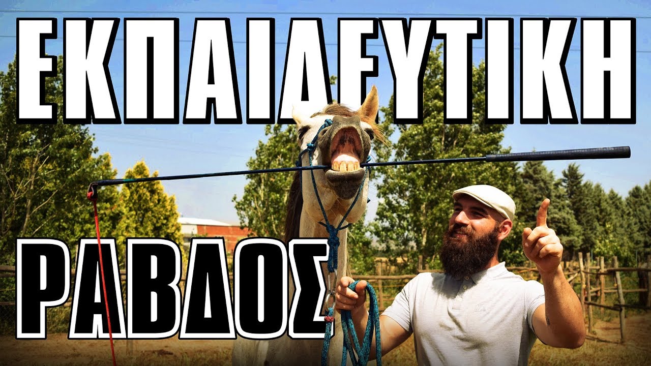 Εκπαιδευτική Ράβδος