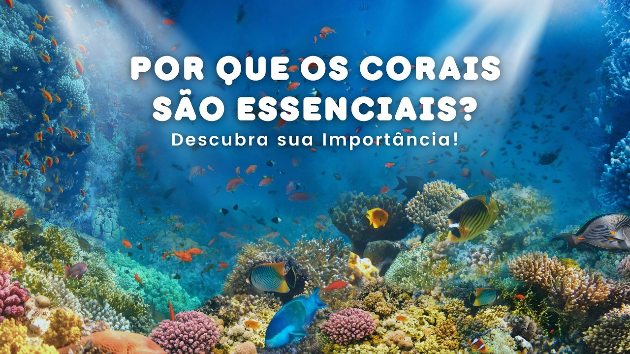 Por Que os Corais S&atilde;o Cruciais para a Vida no Oceano?
