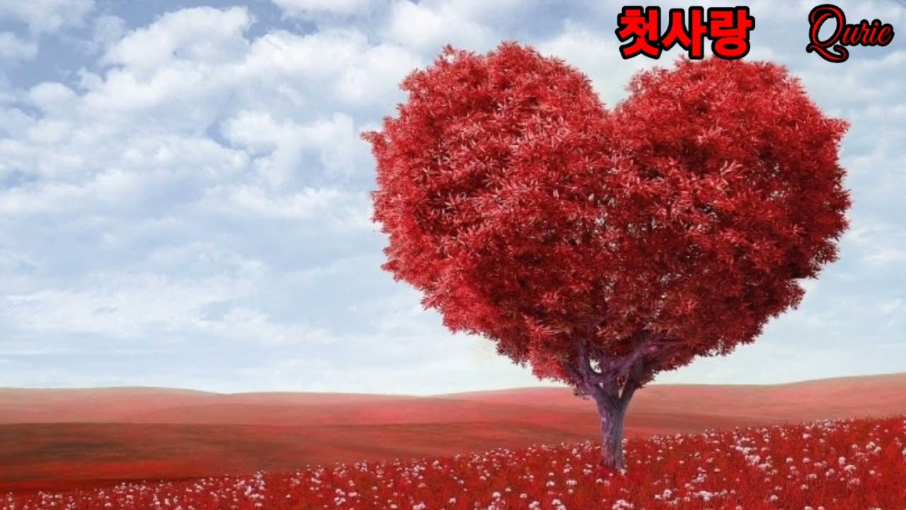 #박큐리오카리나#첫사랑#김효근#D AC(하늘소리)#mr 21120