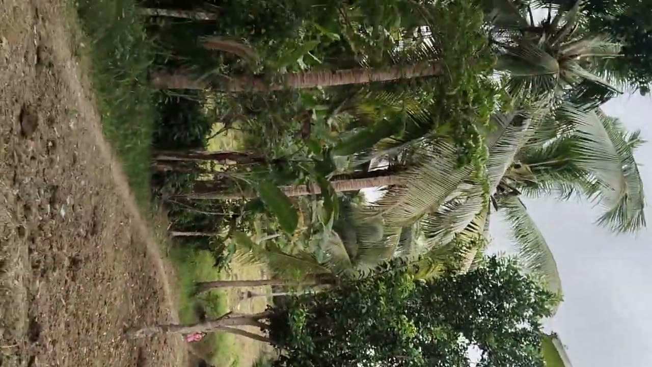 #bukidlife