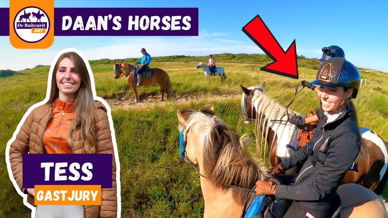 OP BUITENRIT MET PURARAZADIVINO ALS GASTJURY! - Daan's Horses | De Buitenrit Jury S2 Afl.3