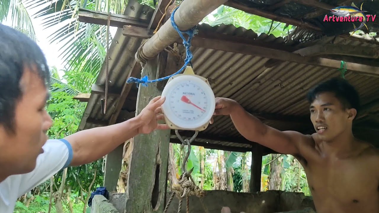 Sinlaki din ng Timbang ng TUNA