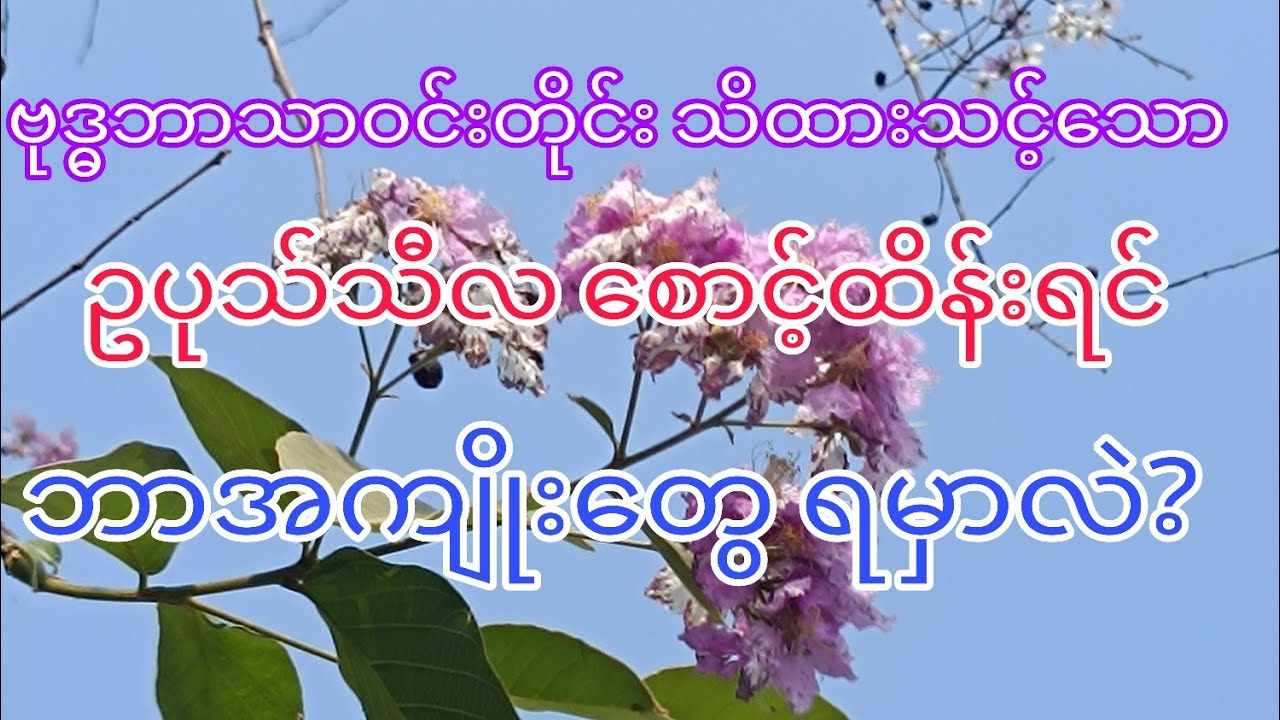 ဥပုသ်သီလ အဓိပ္ပါယ်