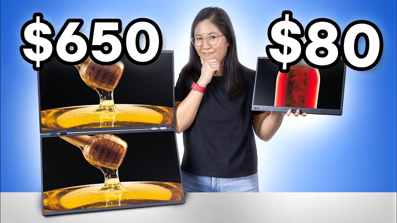 Cheap vs Expensive Portable Monitor.