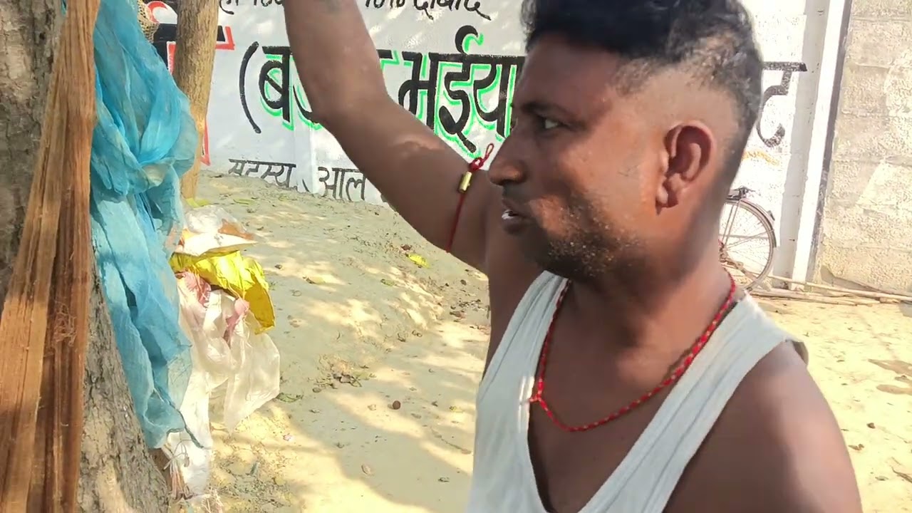 आज हम मांगुर का बच्चा खरीदने गए देखो कैसे टहल होती है बच्चों को कैसे तोड़ा जाता है#