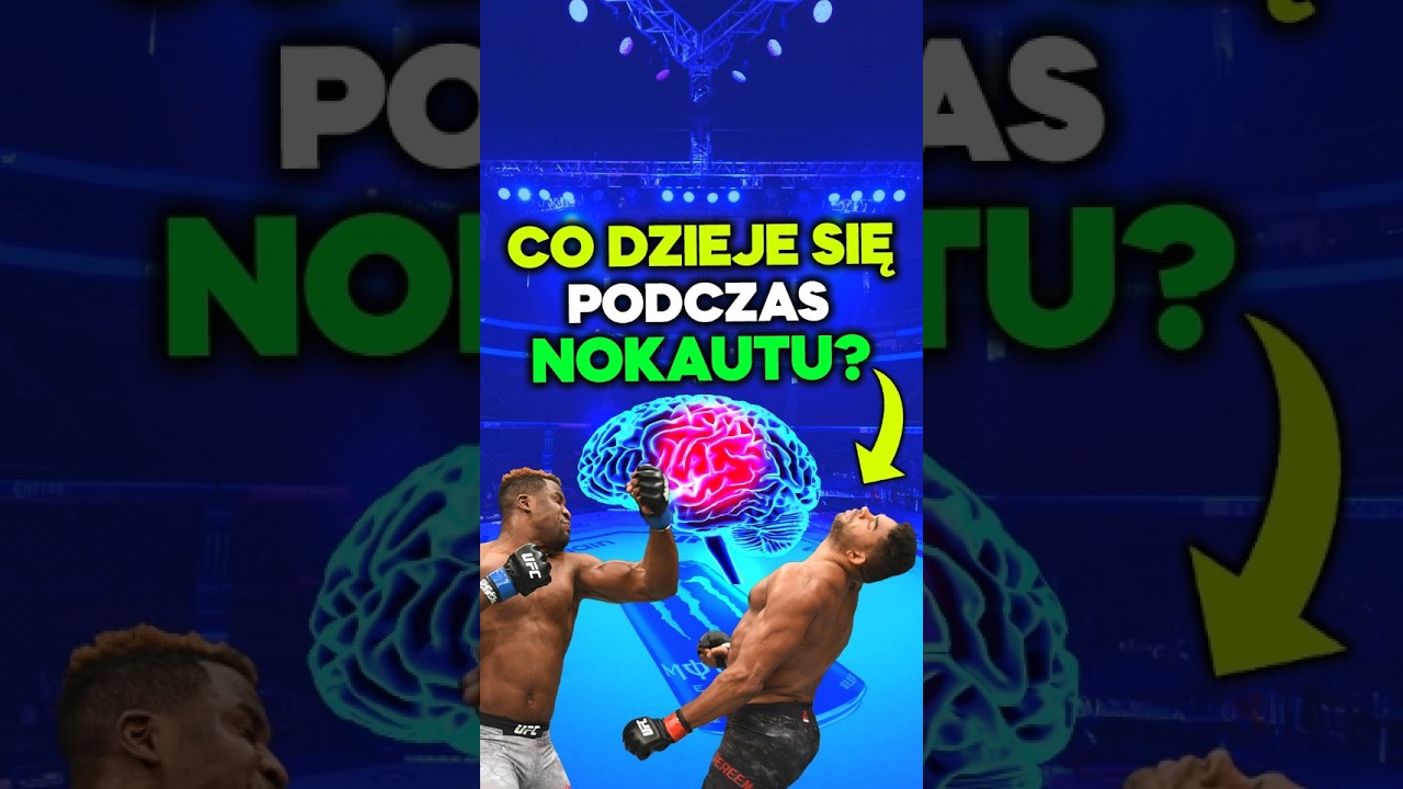 Co dzieje się z m&oacute;zgiem podczas nokautu?&nbsp;🧠&nbsp;