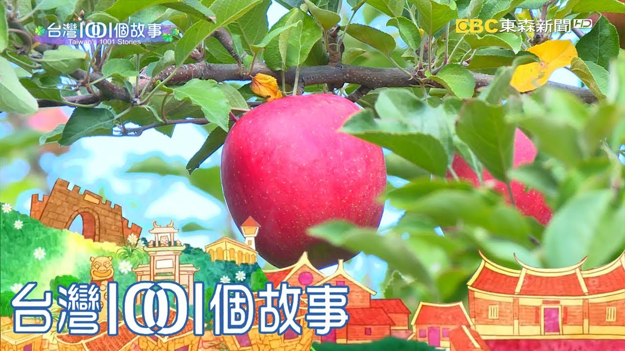 青森蘋果台灣當紅 蘋果原鄉尋找甜美秘密 part2 台灣1001個故事｜白心儀