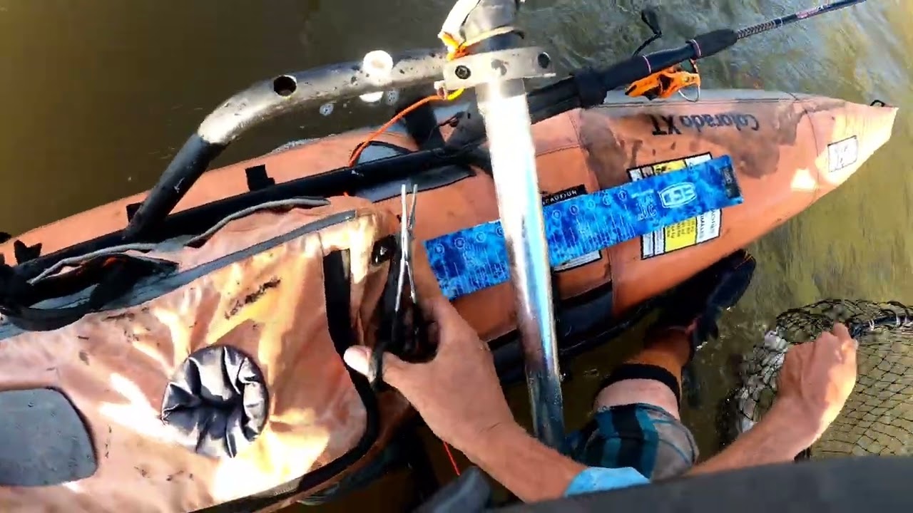 Colorado river fishing trout 2025