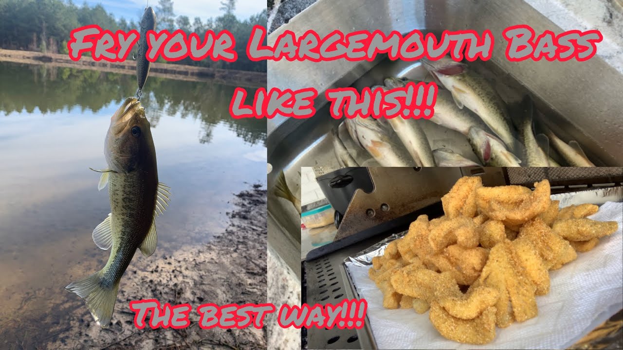 Frying Largemouth Bass
